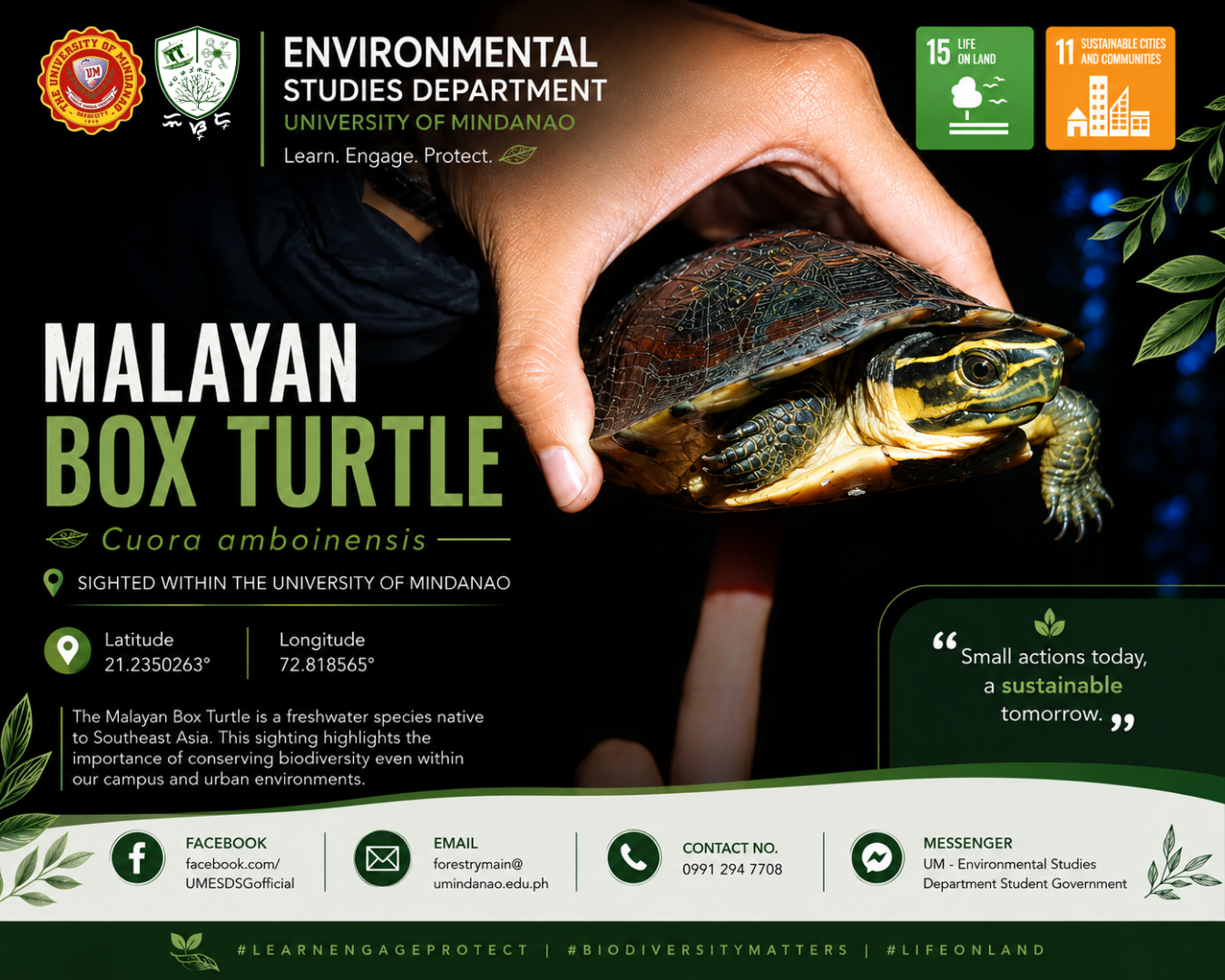 Malayan Box Turtle Spotted within the University of Mindanao